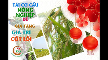 CANH TÁC THÔNG MINH: TÁI CƠ CẤU NÔNG NGHIỆP ĐỂ GIA TĂNG GIÁ TRỊ CỐT LÕI