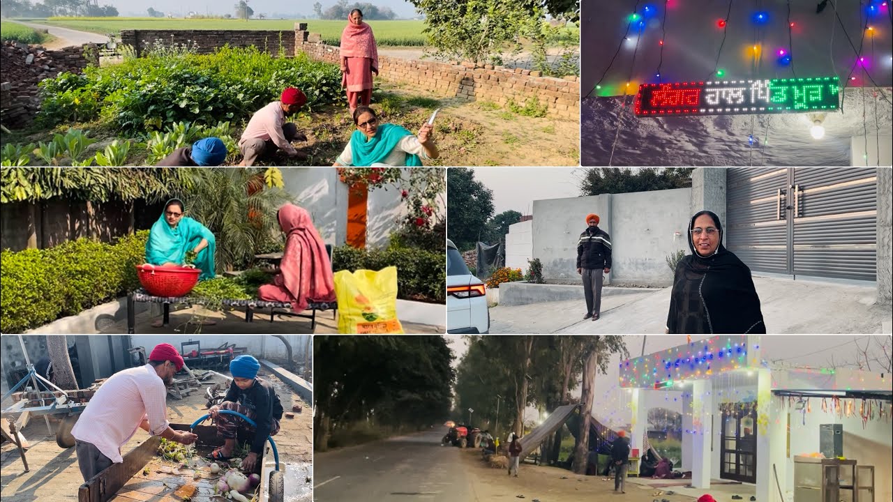 ਸਿਆਲ ਦੀ ਆਖਰੀ ਸਬਜ਼ੀ 😊 ਸੰਗ ਦੀਆਂ ਰੌਣਕਾਂ  siyaal di akhari sabzi ,sang diya ronka 