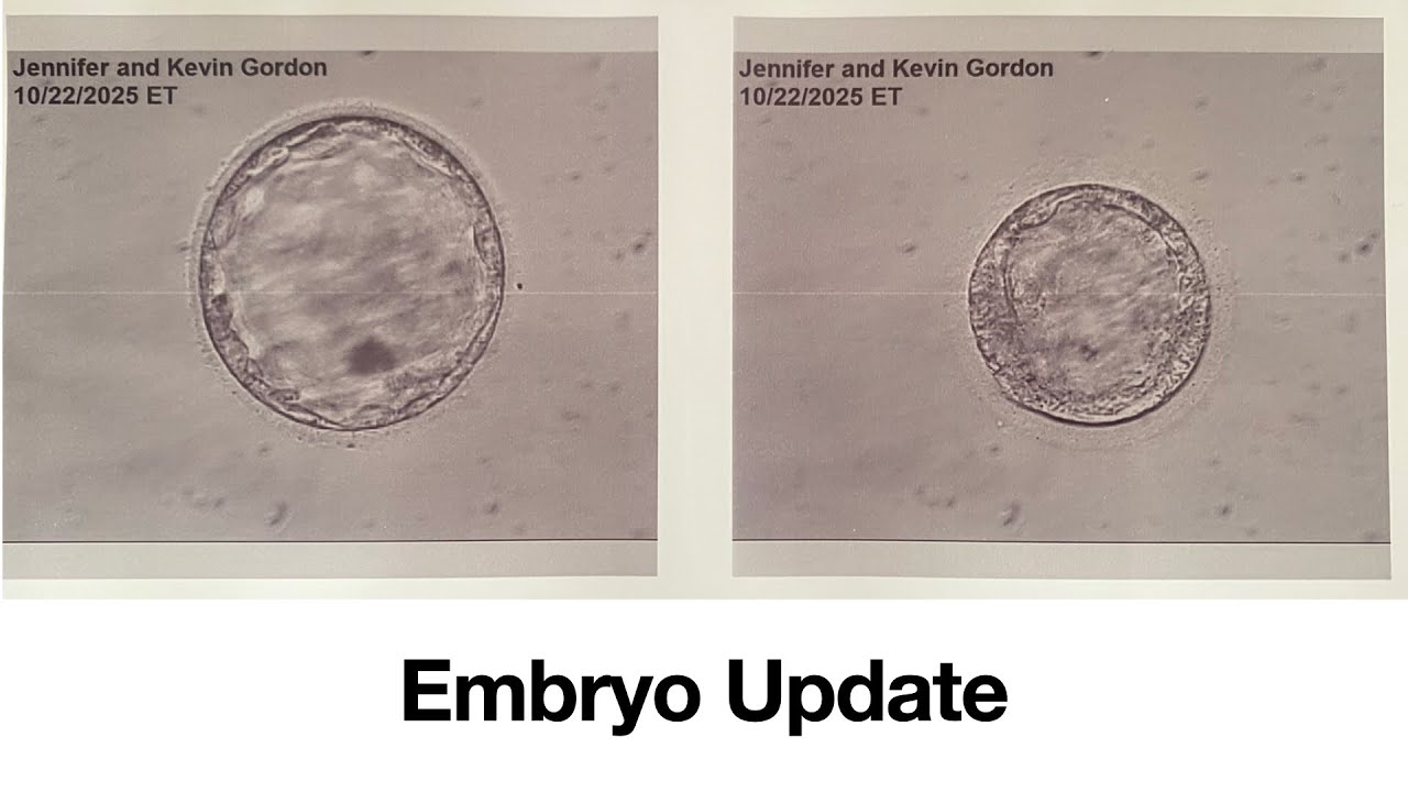 Embryo Update