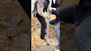Watch Greenhouse Steel Frame Ground Post Installation!#shorts