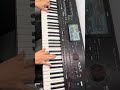 Hora Lentă Re Minor #music #duet #live