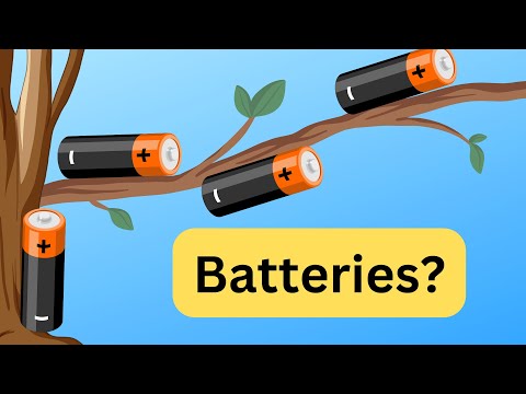 Funniest Science Videos of 2021