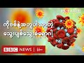ကိုဗစ်နဲ့ အတူပါလာတဲ့ သွေးပျစ်၊ သွေးခဲရောဂါ - BBC News မြန်မာ