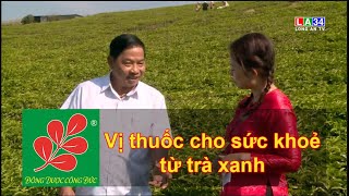 VỊ THUỐC CHO SỨC KHOẺ TỪ TRÀ XANH  - Lương Y Nguyễn Công Phúc