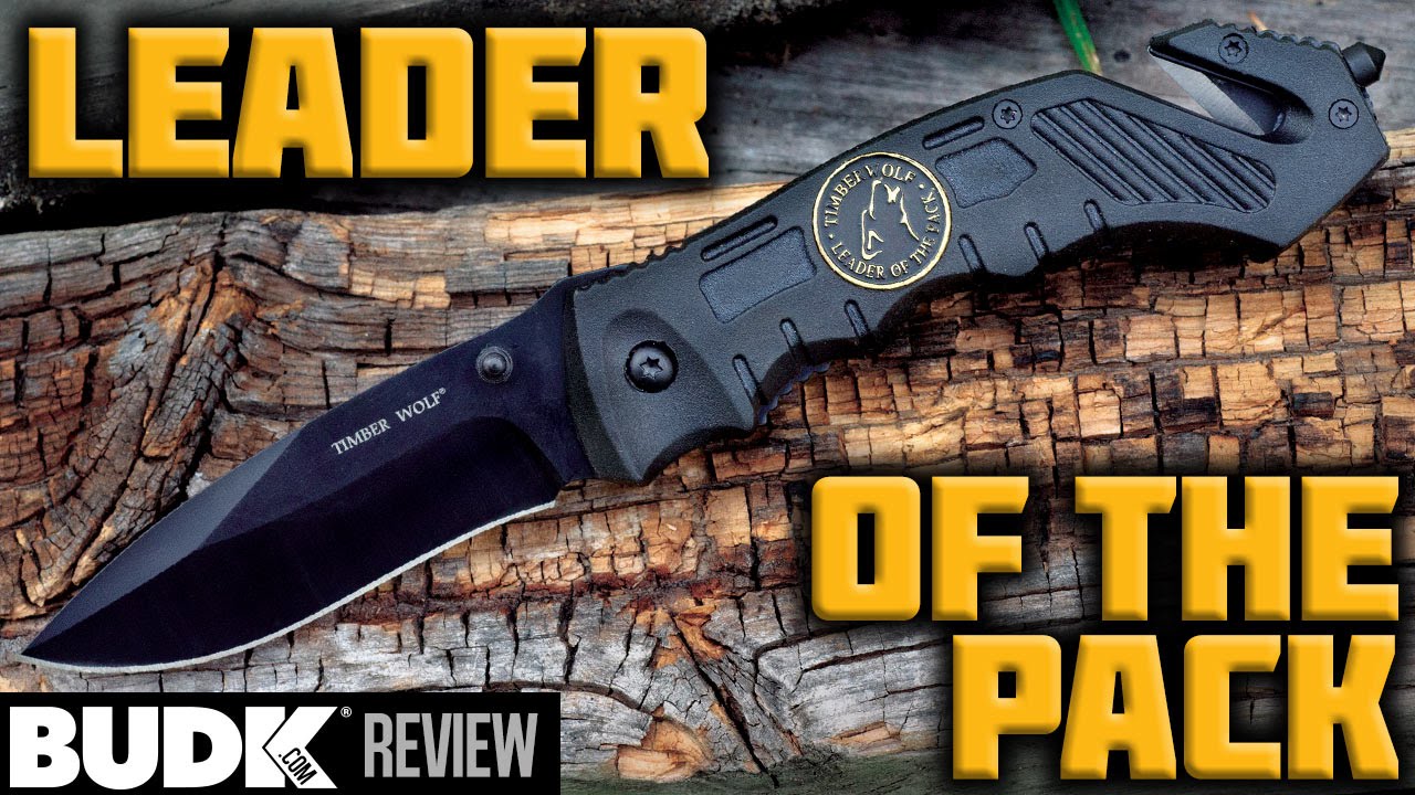 Timber Wolf Assist Rescue Black Folding Knife