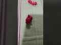 pov pet simulador 99