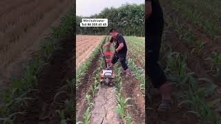 Mini kultivator #automobile #fermer #farming #agriculture #technology #tools #seeder #farm