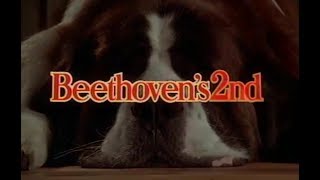 Beethoven S 2nd Afacan Kopek Beethoven 2 1080p Full Hd Izle