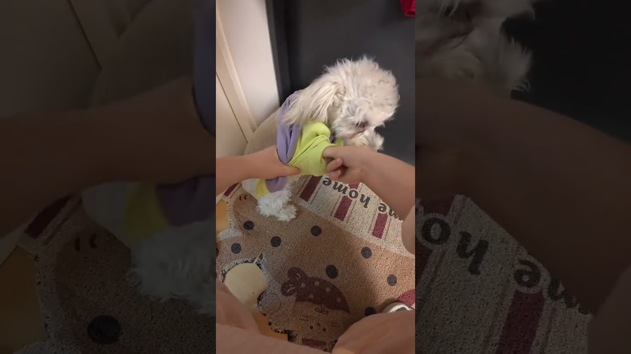 When I was building with Lego I was already thinking of the scene of the table being destr