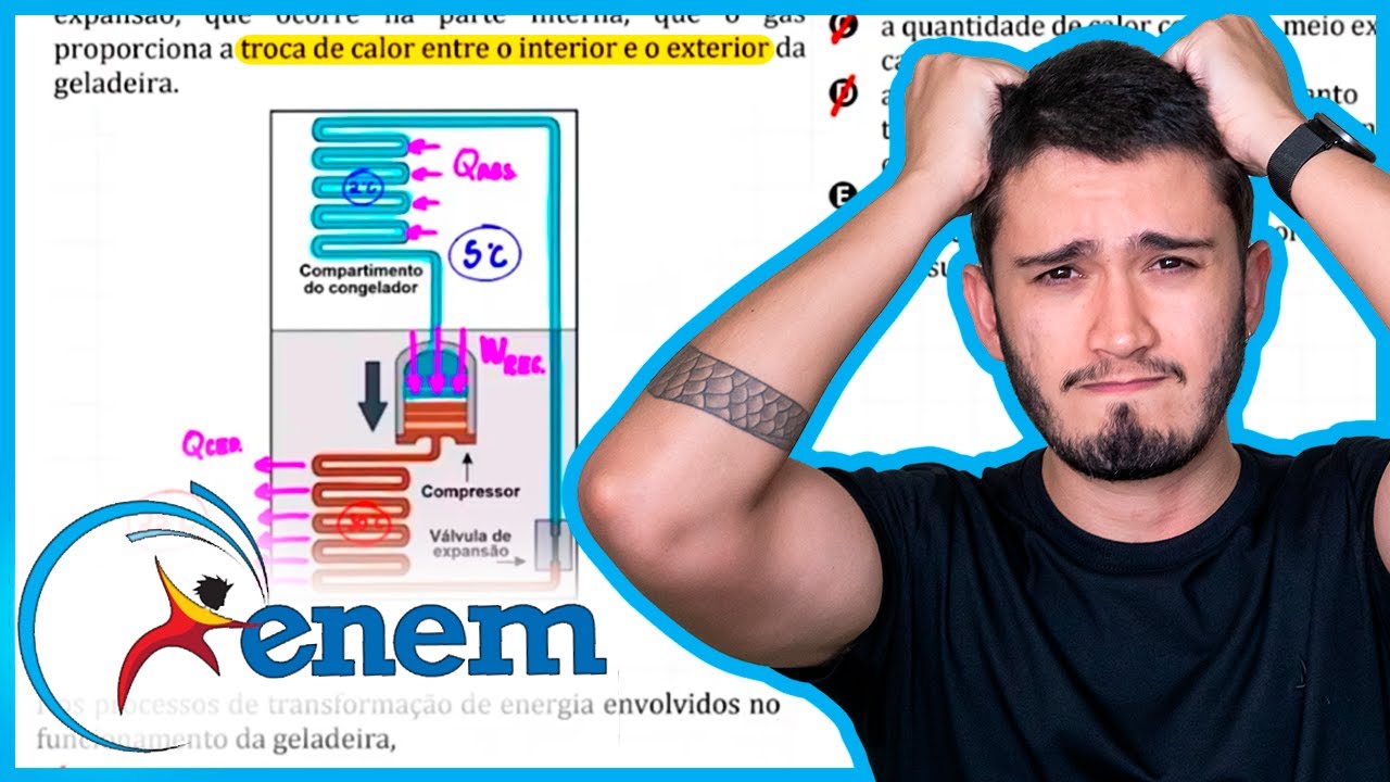 ENEM 2009 - A invenção da geladeira proporcionou uma revolução no aproveitamento dos alimentos, ao