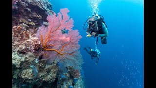 Diving the Rowley Shoals with The Great Escape