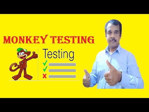 monkey or random