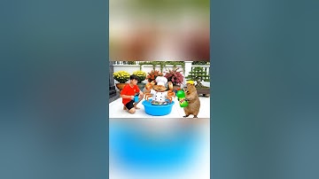 Capybara cùng anh giúp bà tắm Chef Crabracadabra và cái kết #capybara