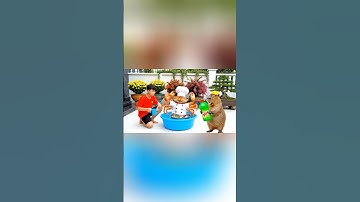 Capybara cùng anh giúp bà tắm Chef Crabracadabra và cái kết #capybara
