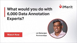 What would you do with 6000 Data Annotation Experts?