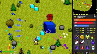 Realm of the Mad God - Paladin kicking ass