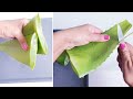 COMO PREPARAR GEL DE ALOE VERA CASERO Y CONSERVARLO.