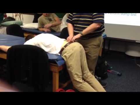 Prone Instability Test