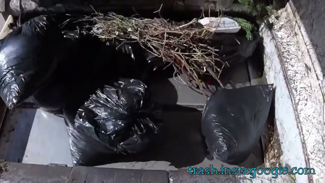 Satisfying Garbage Compaction! Crushing Trash Bags in a Giant Waste Truck