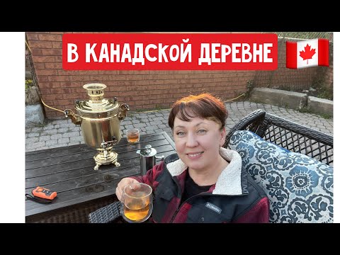 Видео: Рассада// проверка пчёл