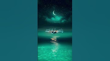 سورة هود #المنشاوي