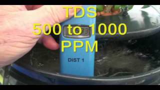 DWC Hydroponics Bucket System update
