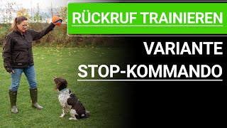 🐶 Rückruf trainieren ➡️ Rückruftraining für Hunde mit Stop Kommando Hund ➡️ Praxisvideo 🐶✔️ by Stephanie Salostowitz - Online Hundetraining 8,297 views 6 months ago 24 minutes