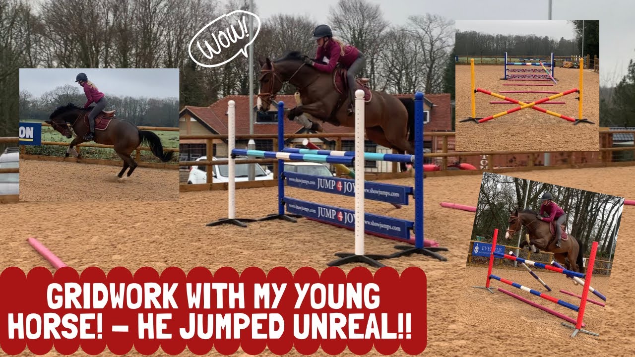 GRIDWORK WITH MY YOUNG HORSE! - He jumped UNREAL!