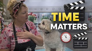 Using Time Effectively in Dog Grooming | Everything That Makes It Work