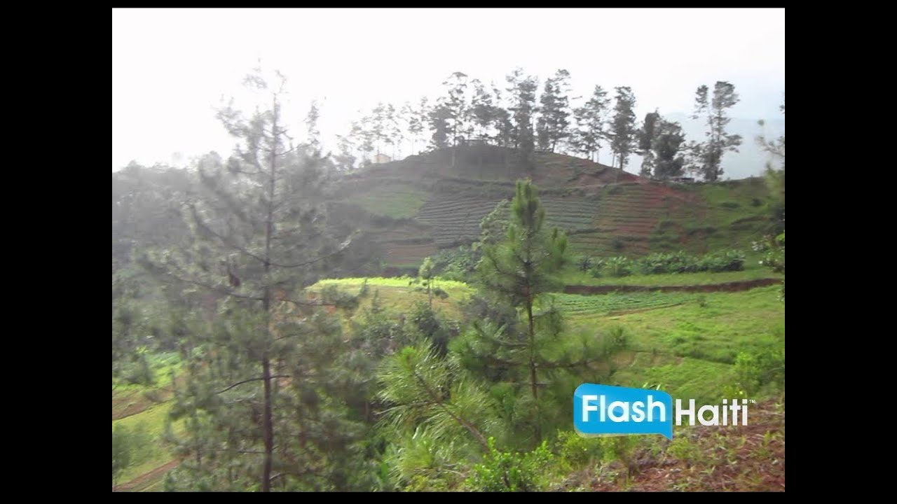 Land For Sale in Furcy Hait YouTube