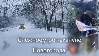 Снежное утро накануне Нового года.  Наряжаем елку и кормим птиц.