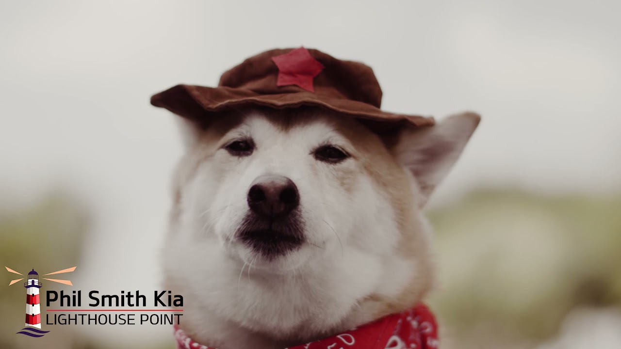 October Specials - 2022 Kia Soul LX