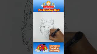 How To Draw A Cute Wolf Head Step By Step #drawingtutorial #animaldrawing #wolfdrawing #shorts