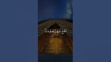 " الحج أشهر معلومات " - تلاوة مميزة