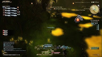 FFXIV - Aurum Vale Tomestone Speedrun 4:55