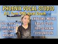 All from one vocal coach  phoenix vocal studio