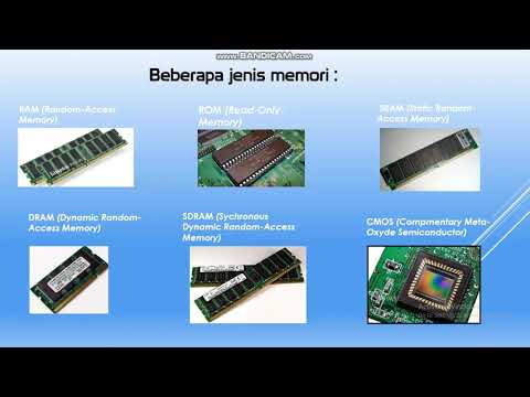 Video: Apa Jenis Memori Dibagi Menjadi?
