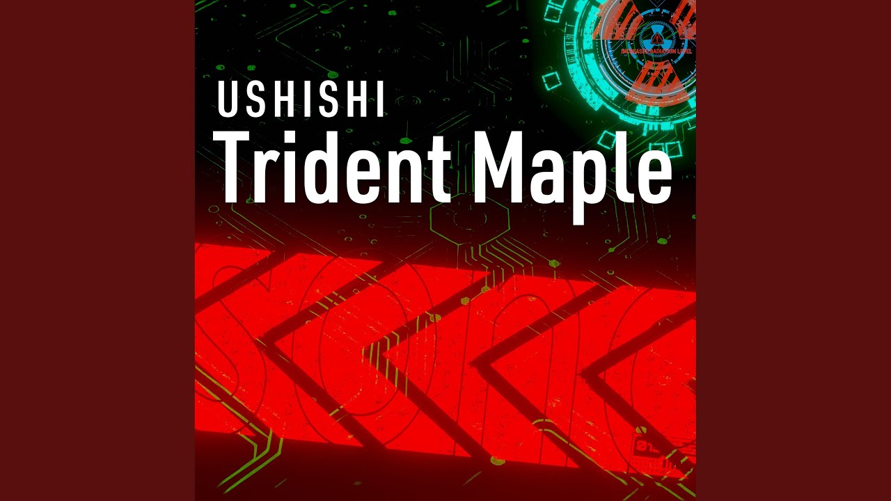 Watch Trident Maple on YouTube Watch Trident Maple on YouTube