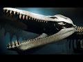 Pliosaurus Flippers and Swimming Mechanics