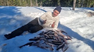 Сорога здесь хорошая ловится. Зимняя рыбалка в апреле.