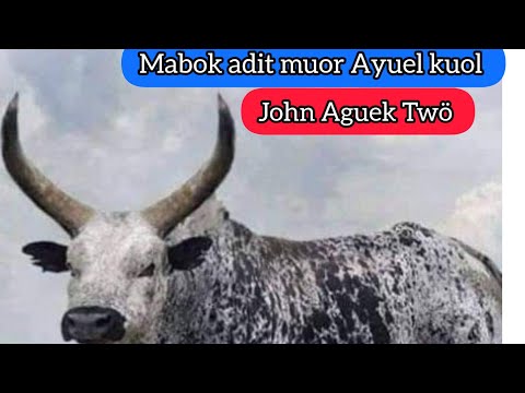 Mabok Adit Muor Ayuel Kuol By John Aguek Twö South Sudan Music