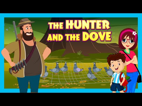 THE HUNTER AND THE DOVE : Tia & Tofu | Kids Learning Story | English Story for Kids