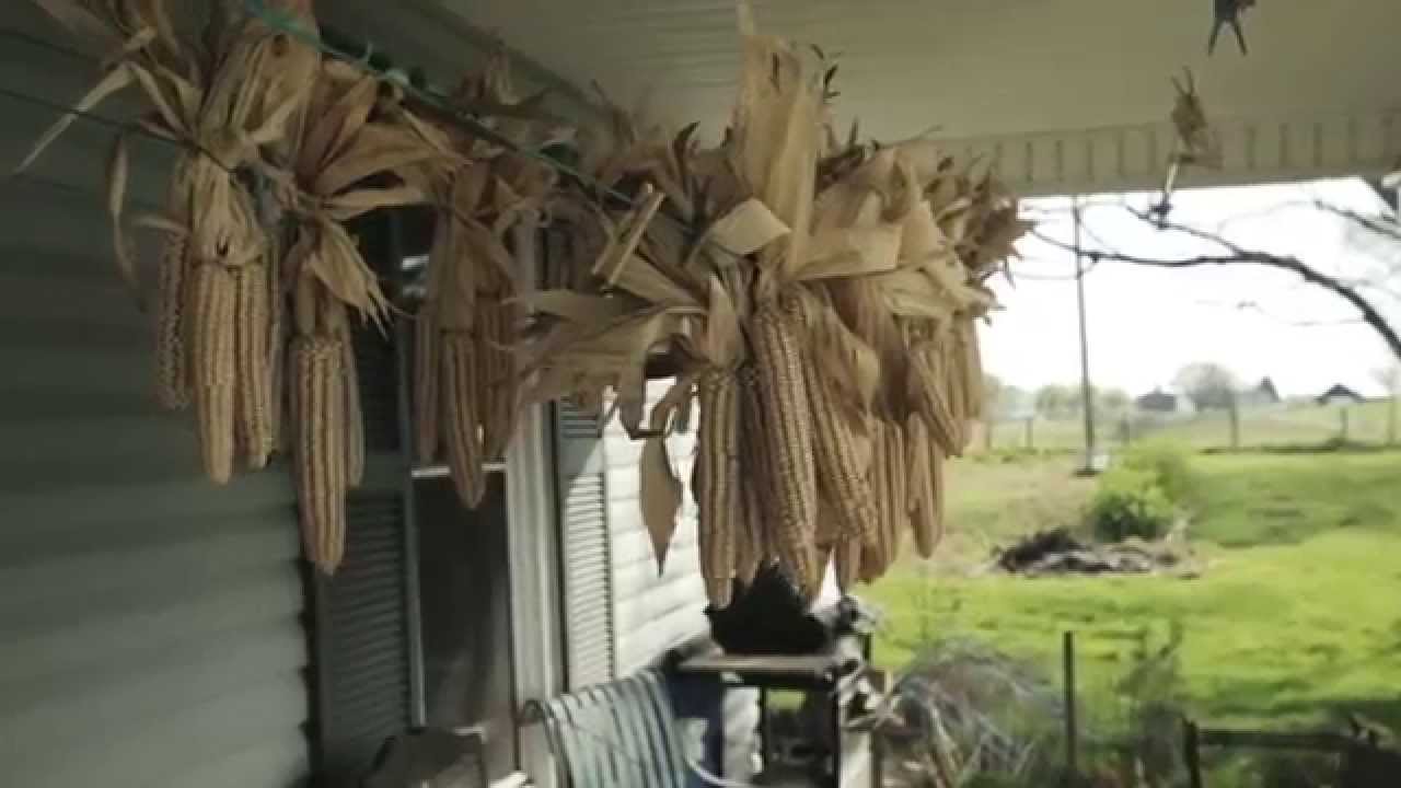 Sunflower Sundries YouTube