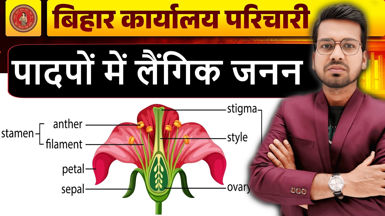 🔥 बिहार कार्यालय परिचारी परीक्षा | पादपों में लैंगिक जनन | Science MCQs | पूरा पेपर यहीं से आएगा 💯