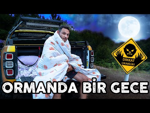 ORMANDA KORKU DOLU BİR GECE! (REXX'İN KASASINDA)