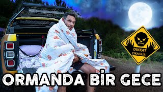 ORMANDA KORKU DOLU BİR GECE! (REXX'İN KASASINDA)