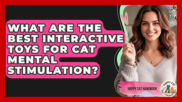 What Are The Best Interactive Toys For Cat Mental Stimulation? - Happy Cat Handbook
