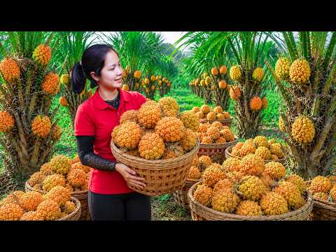 Harvesting Millions Giant Yellow Pineapple Go To Market Sell | Relaxing Farm Life & Poultry Care