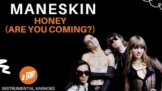 HONEY (ARE YOU COMING?) - Maneskin