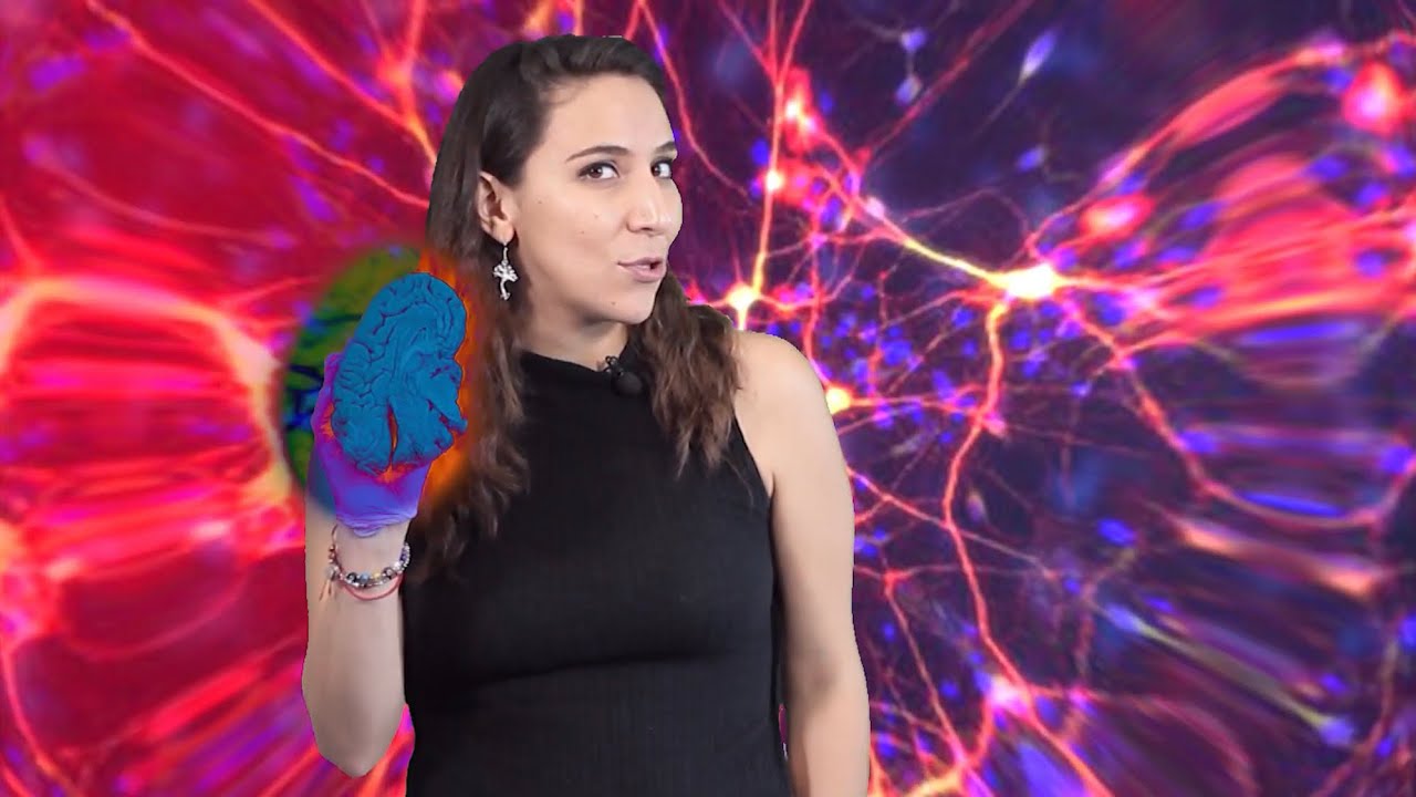 Sinapsis - Episodio 5: Danza y cerebro